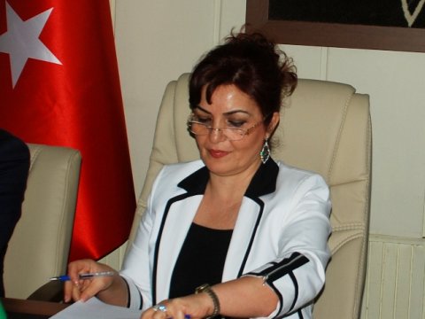 Azərbaycan diasporu etiraz bəyanatları yayır