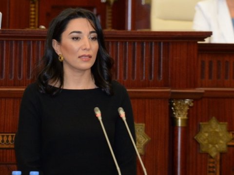 “Ermənistana qarşı ciddi sanksiyalar tətbiq edilməlidir” - Səbinə Əliyeva
