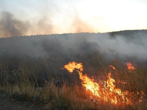 Şəkidə 150 hektar sahədə yanğın
