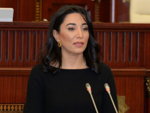Ombudsman beynəlxalq təşkilatlara bəyanat göndərdi