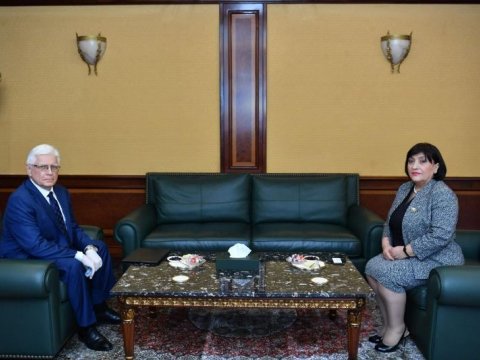 Sahibə Qafarova rusiyalı səfirə Tovuzdakı təxribat barədə danışdı