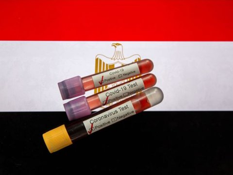 Misirdə son 24 saatda virusdan 40 nəfər öldü
