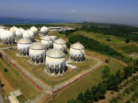 Türk şirkəti rus terminalını satın aldı