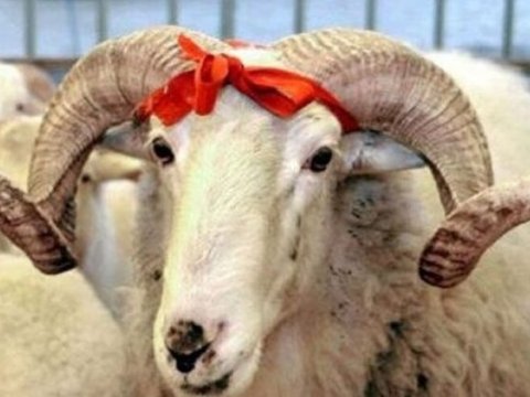Qurban bayramının əsas MƏQSƏDİ  