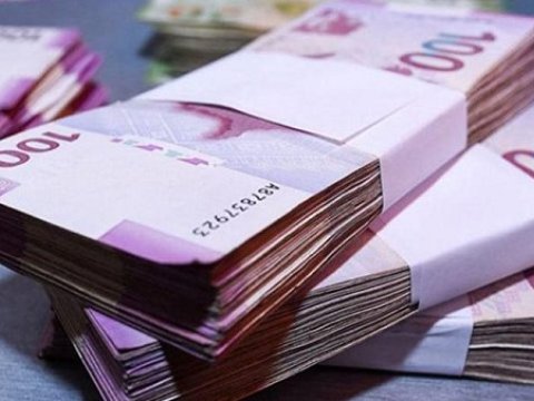 Dövlət pandemiyadan zərər çəkənlərə pul verəcək - Nazir