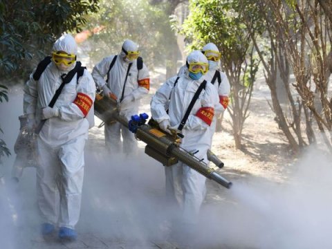 Dünyanın koronavirus STATİSTİKASI: 19 milyon yoluxma, hər 15 saniyədə 1 ölüm