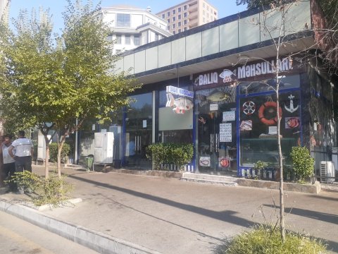 Binəqədidə qanunsuz fəaliyyət göstərən sahibkarlar cərimələndi