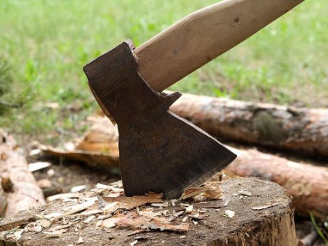 Sumqayıtda ağac kəsən şəxs cəzalandırıldı