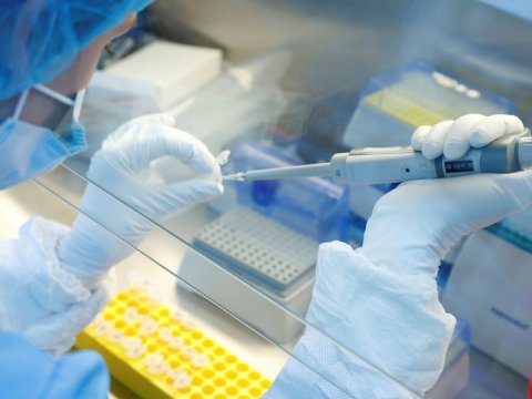 Rusiyada koronavirusa qarşı dərman istehsalına başlandı