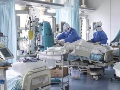 Reanimasiyada olan koronaviruslu xəstələrin sayı açıqlandı