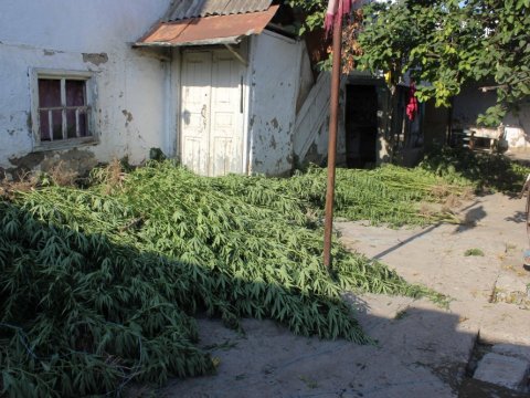 Bir yük avtomobili həcmində narkotik aşkarlandı - FOTOLAR