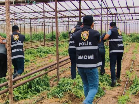 Baş Mütəşəkkil Cinayətkarlıqla Mübarizə İdarəsi xüsusi əməliyyat keçirdi - VİDEO