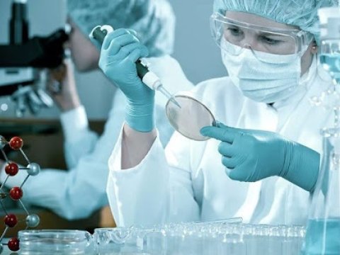 Bölgələr üzrə yoluxma statistikası - Siyahıda Naxçıvanın da adı var
