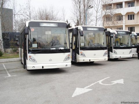Bu xətdə avtobus sayı artırılacaq