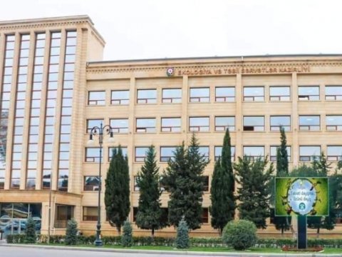 Ağacları zədələyən şəxs cəzalandırıldı