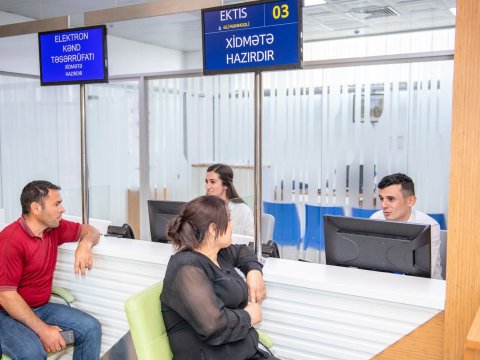 Sentyabrdan payızlıq əkinlərin bəyanına başlanılır - FOTO