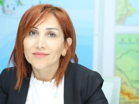 Bakıda ağacları məhv etmək istədilər 
