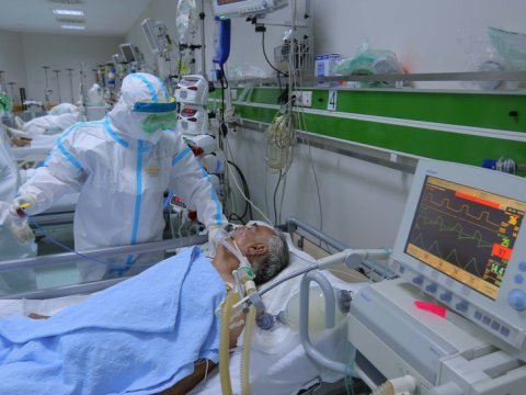 Reanimasiyadakı koronavirus xəstələrinin sayı AÇIQLANDI