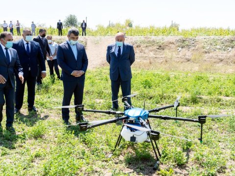 Azərbaycanda ilk dəfə qarğıdalı sahələri dronlar vasitəsilə dərmanlandı