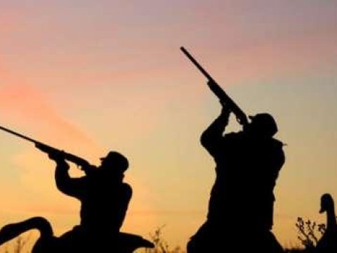 Qanunsuz ov edənlər cəzalandırıldı