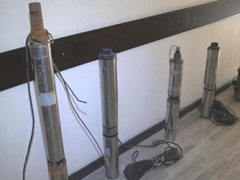 Əkin sahələrindən oğurluq edən şəxs saxlanıldı