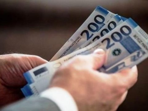 Ağacları məhv edən müəssisə cəzalandırıldı