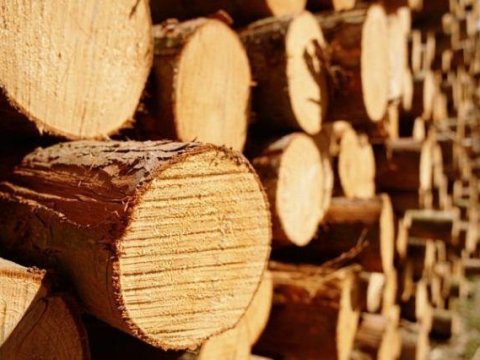 Azərbaycanda oduncaq tədarükünə başlanıldı