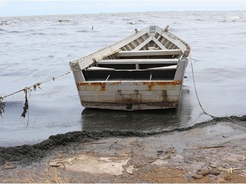 Xəzər dənizinin əsas çirklənmə səbəbləri açıqlandı