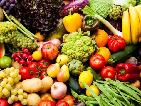 Sahibkarlara yeni aqrar xidmətdən yararlanmaq imkanı yaradıldı