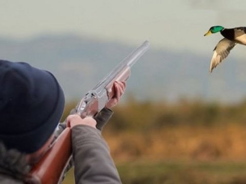 Azərbaycanda hansı vəhşi heyvan və quşlar ovlana bilər? - QAYDALAR
