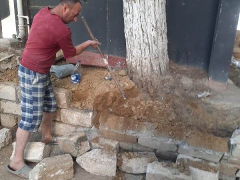 İcra Hakimiyyəti sosial şəbəkədə yayılan görüntülərə görə hərəkətə keçdi - Fotolar
