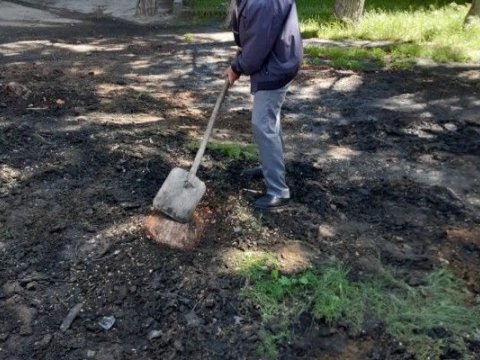 Bakıda tikinti şirkəti 29 ağac və kolu məhv edib