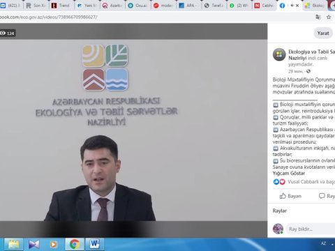Canlı yayımda ekoloji məsələlər müzakirə olunur