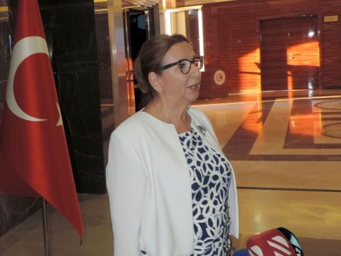 Ruhsar Pekcan: Azərbaycanla sərbəst iqtisadi əməkdaşlıq etməyi hədəfləyirik