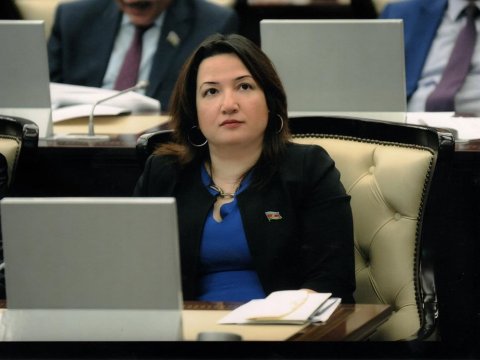 Pərvin Kərimzadə: İşğalçı Ermənistanın qanunsuz əməllərinin qarşısı alınmalıdır  