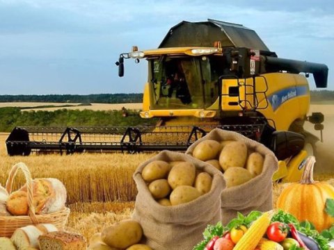 Azərbaycanda kənd təsərrüfatı məhsullarının istehsalı artıb