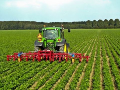 Dövlət sahibkarlara 30 milyon manat yardım etdi