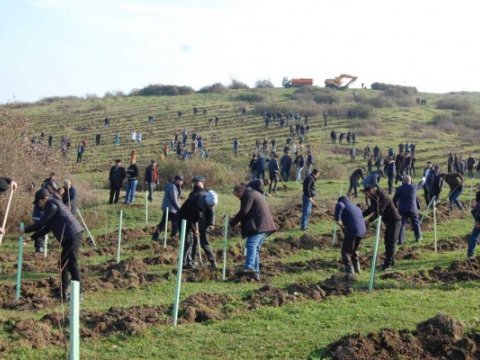 Bu il bir milyondan çox ağac əkiləcək