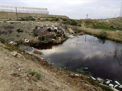 Eko-Radar bölməsinə daxil olan şikayət araşdırıldı