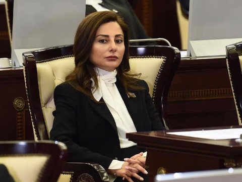 Əminə Ağazada deputat kimi ilk səfərindən DANIŞDI