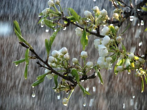 Sabah yağış yağacaq, dolu düşəcək - HAVA PROQNOZU