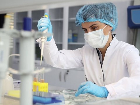 Azərbaycanda virusa yoluxanların sayı kəskin azaldı - 2 nəfər öldü