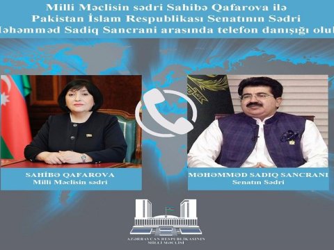 Sahibə Qafarova Senatın sədri ilə danışdı