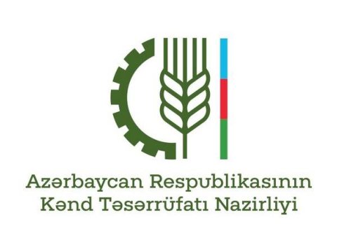 Bu Nazirliyin 140 əməkdaşı könüllü olaraq orduya qoşulub