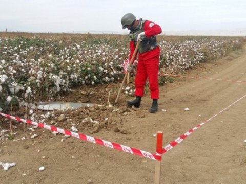 Dövlət Agentliyi kamikadze-dronla bağlı məlumat yaydı