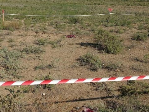 Ombudsman yenidən beynəlxalq təşkilatlara müraciət etdi