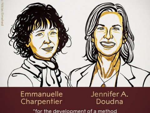 Kimya üzrə Nobel mükafatının qalibləri açıqlandı