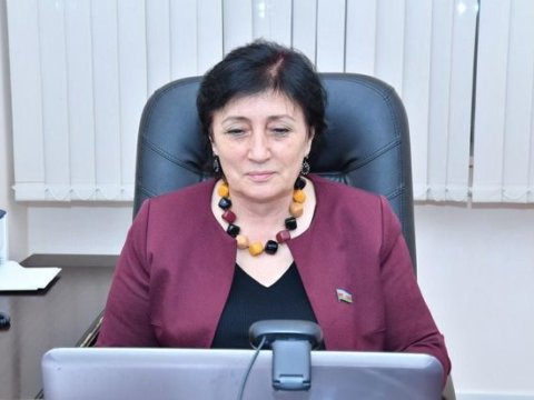 NATO PA Azərbaycana nə cavab verib? - Deputat narazıdır