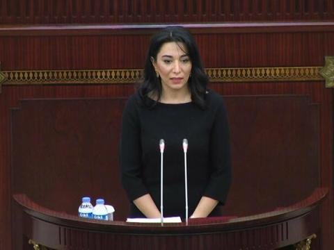 Ombudsman beynəlxalq təşkilatlara hesabat göndərdi