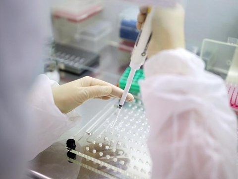 Azərbaycanda daha 233 nəfər virusa yoluxdu - 3 nəfər öldü